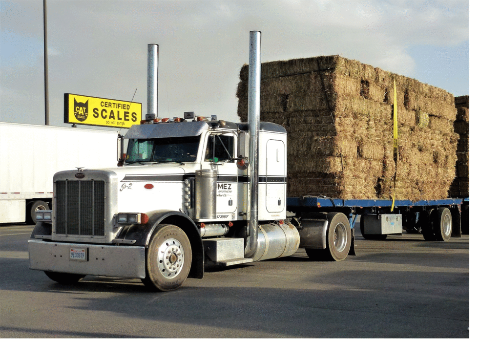 easy DOT Biennial Update What Truck Drivers Need to Know 2025